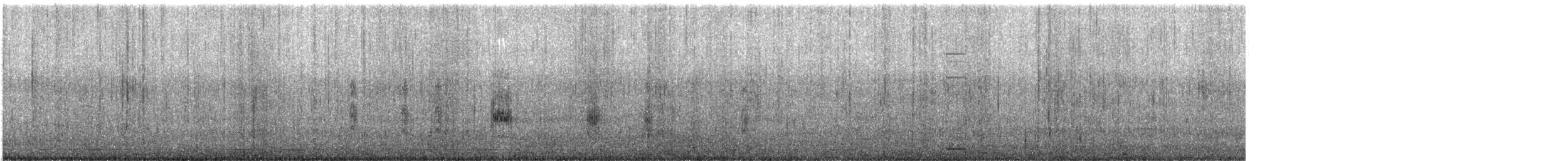 Black-naped Tern - ML576229541