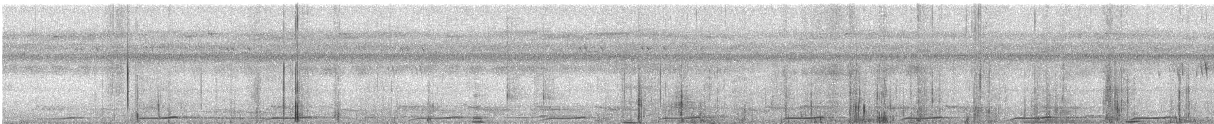 Сова-голконіг темнопера - ML576231321
