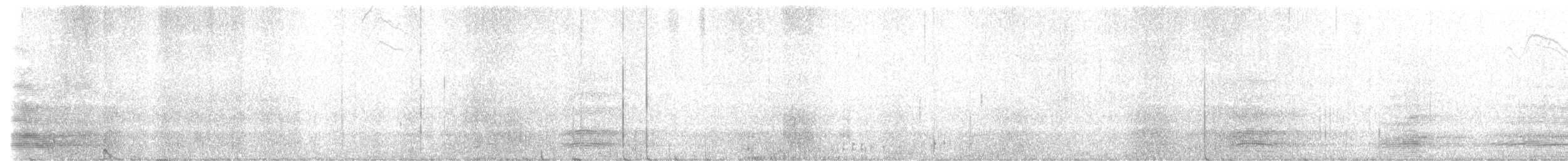 Corbeau de Tasmanie - ML576245611