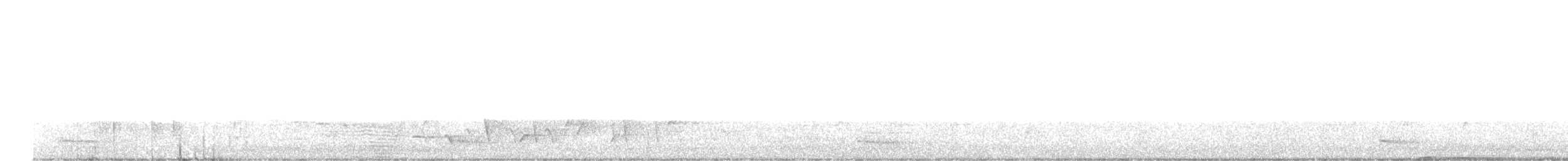 Меланезийский свистун - ML576246051