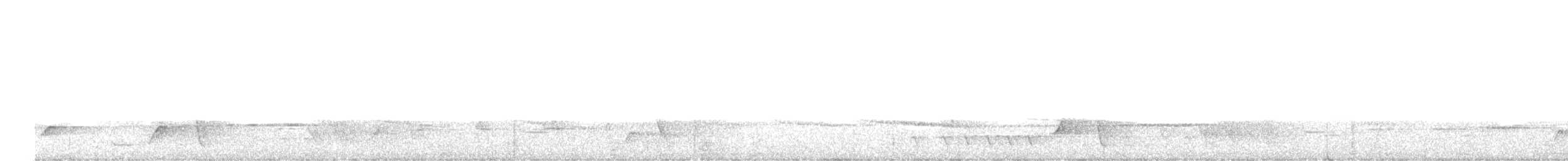 Меланезийский свистун - ML576247751