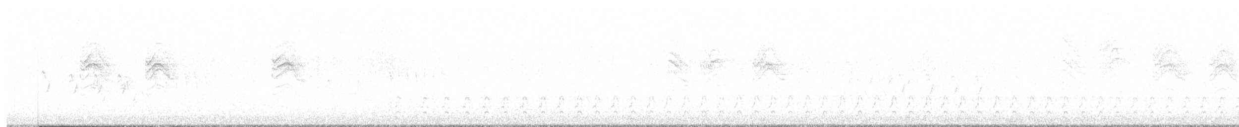 Blue-gray Gnatcatcher (Western) - ML576294271