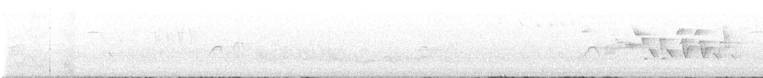Indigo Bunting - ML576295091