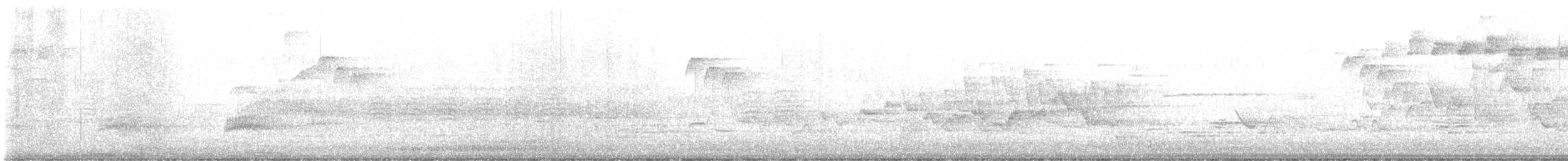 Blackpoll Warbler - ML576310771