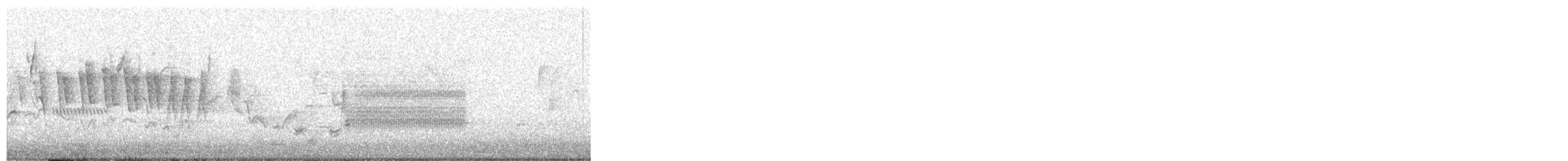 Wilson's Warbler (pusilla) - ML576318341