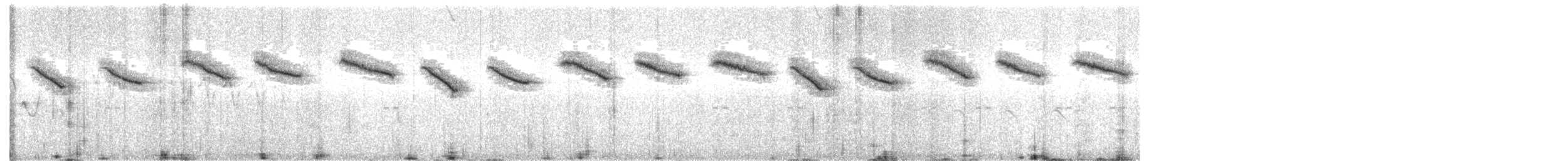 Крапчатый короткокрыл - ML576321161