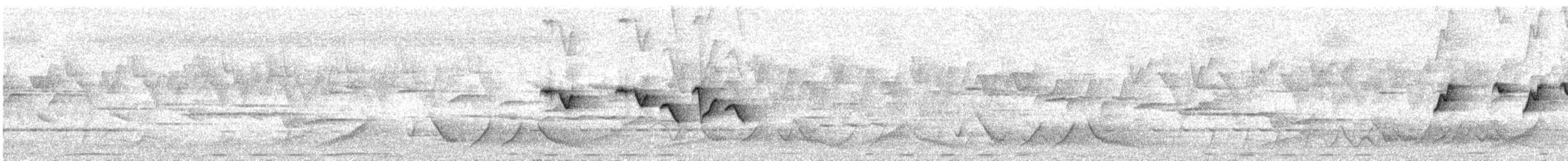 Скриточуб гімалайський - ML576321501