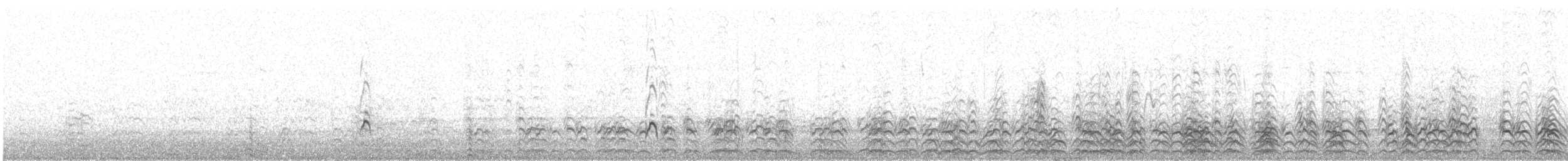 Schwarznacken-Stelzenläufer - ML576386501