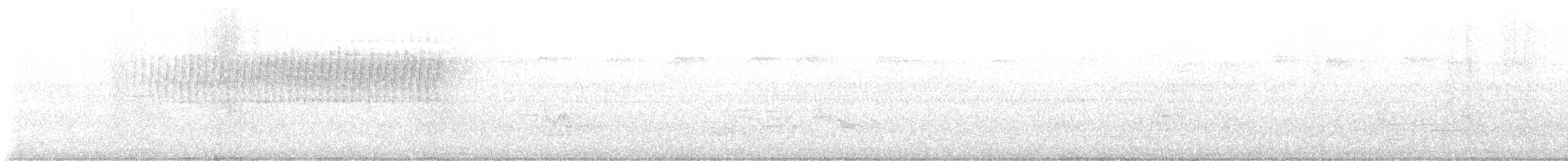 Paruline vermivore - ML576401101