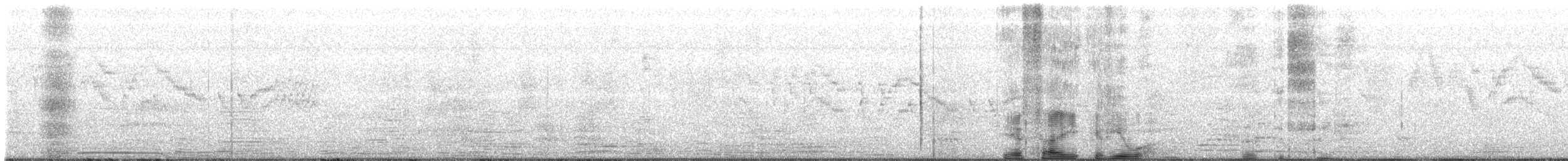 Дрізд-короткодзьоб канадський - ML576414761
