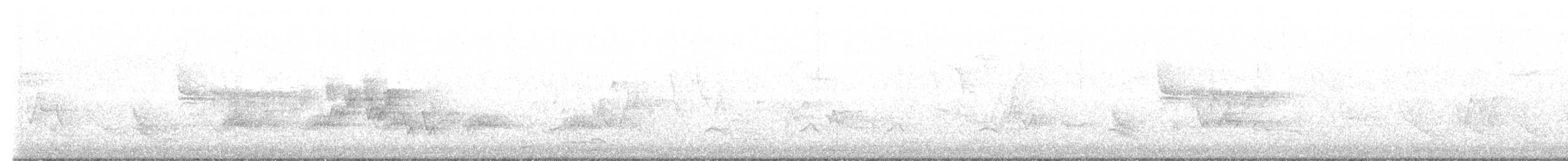 Mourning Warbler - ML576434821