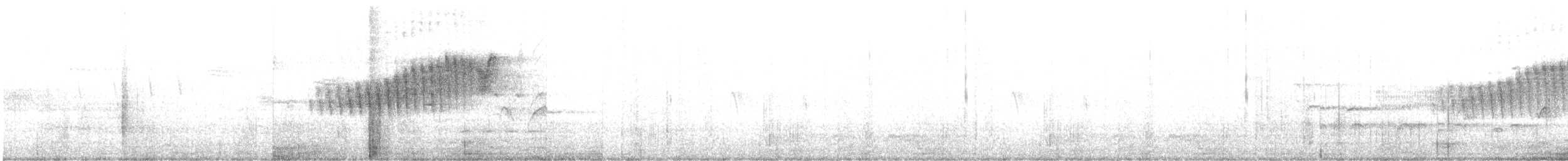 アサギアメリカムシクイ - ML576501631