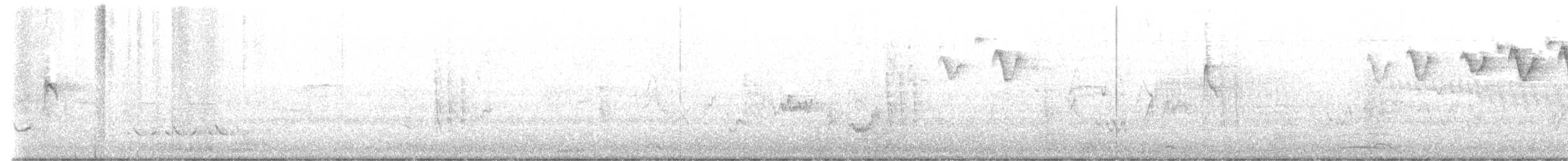 lesňáček černobílý - ML576524791