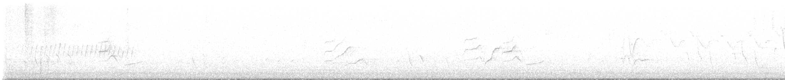 Pine Warbler - ML576577251