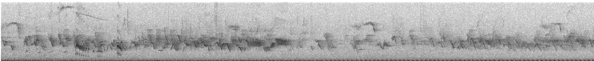 Ash-throated Flycatcher - ML576622531