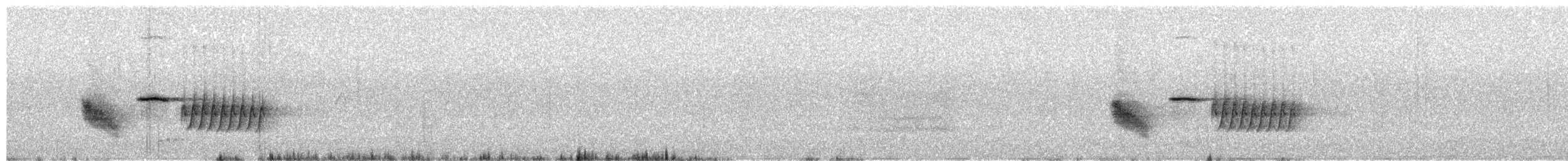 ワキアカトウヒチョウ（alleni／rileyi） - ML57662541