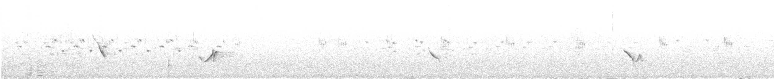 Щеврик довгодзьобий (підвид captus) - ML576630271