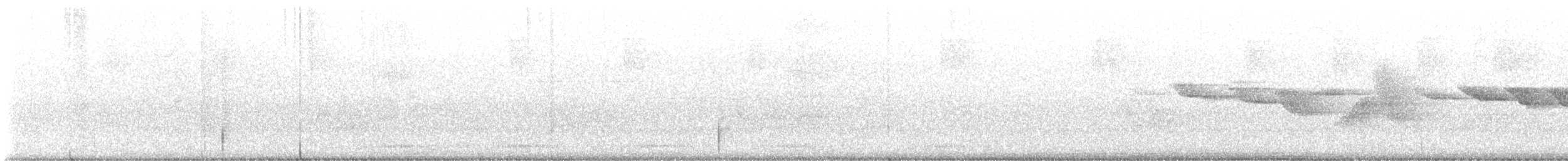 Swainson's Warbler - ML576654151