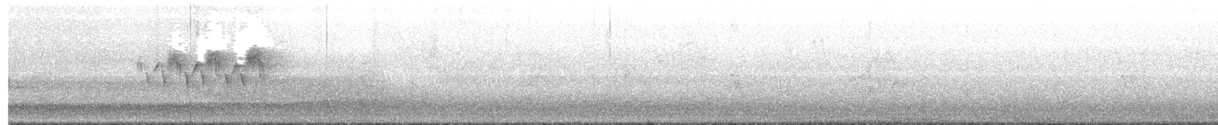 Cerulean Warbler x Northern Parula (hybrid) - ML57666501