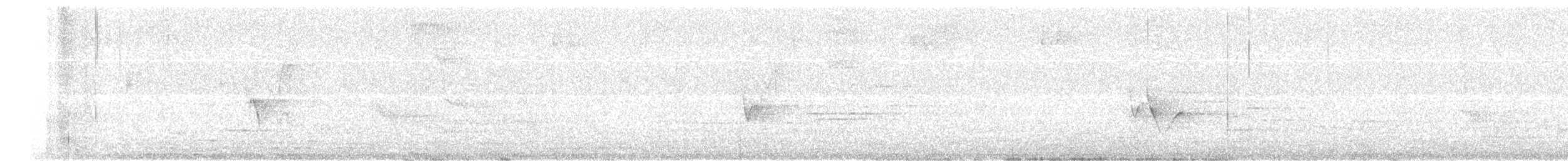 Віреон коста-риканський - ML576677631