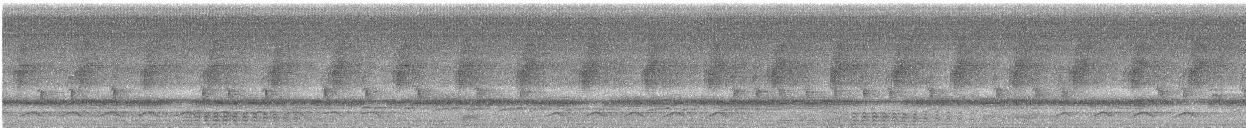 Серый павлиний фазан - ML576689251
