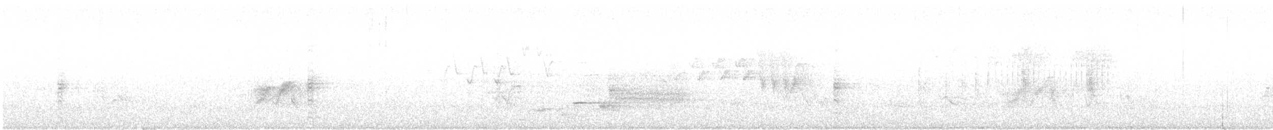 tyranovec olšový - ML576706501