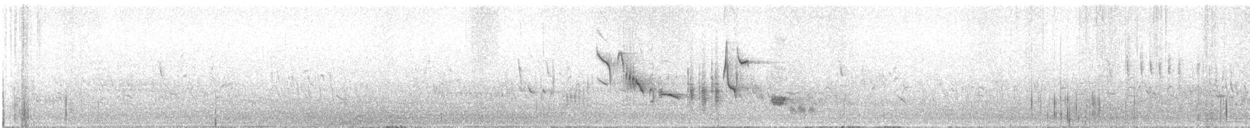 iranie bělohrdlá - ML576725501