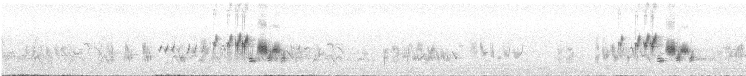 Вівсянка сіра (підвид semenowi) - ML576725571