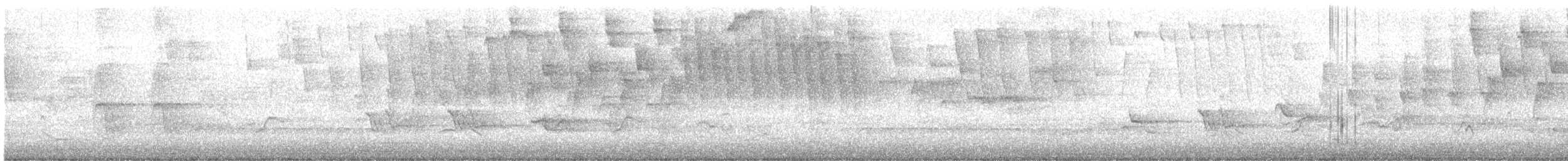 Tennessee Warbler - ML576731881
