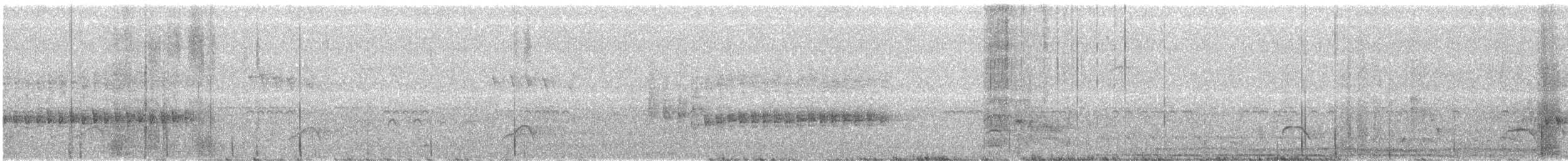 Long-billed Gnatwren - ML576735451