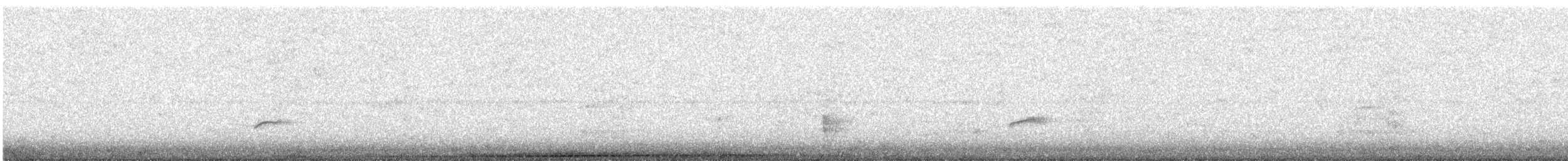 Дрізд-короткодзьоб Cвенсона - ML576767691