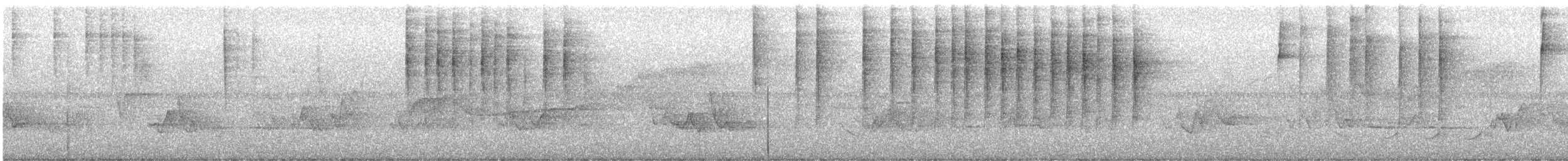 Black-and-white Warbler - ML576784711