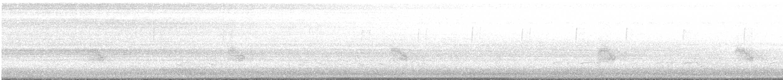 Common Nighthawk - ML576882621