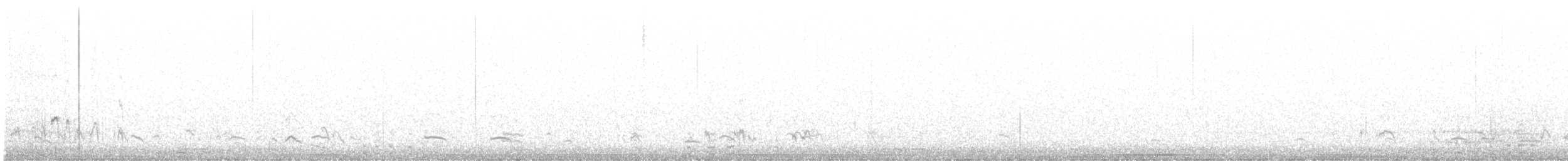 Magellanic Plover - ML576891581