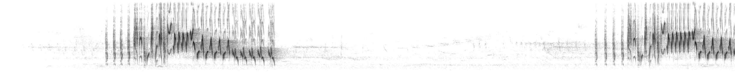 Northern House Wren - ML576931181