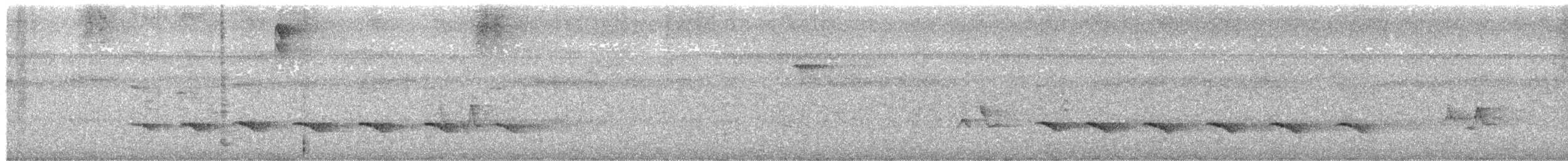 Schwarzscheitel-Ameisenvogel - ML576946991