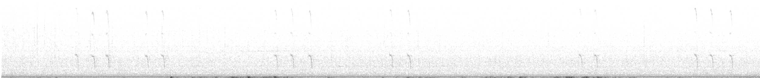 Шишкар ялиновий - ML576974161