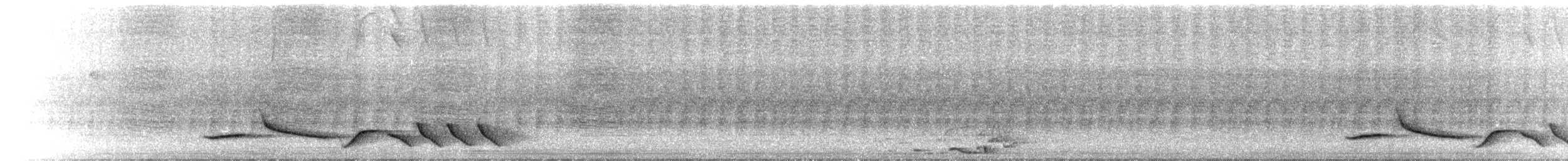 Поплітник чорногорлий - ML576978491