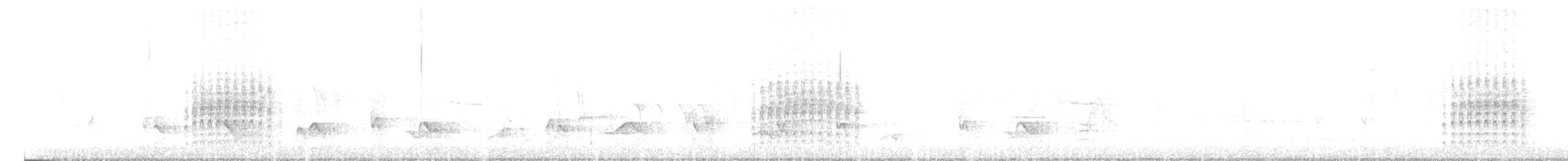 Дрізд-короткодзьоб Cвенсона [група ustulatus] - ML576982091