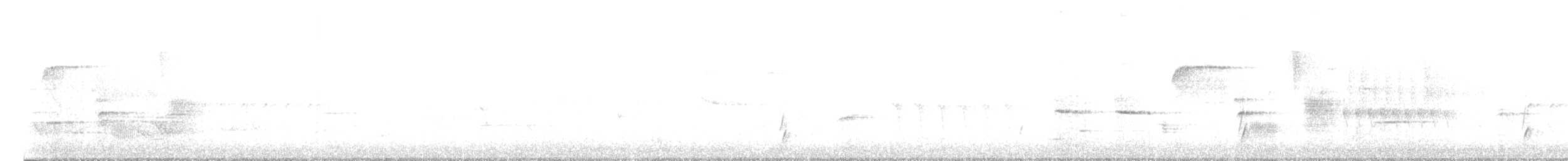 Дрізд-короткодзьоб Cвенсона [група ustulatus] - ML576982101