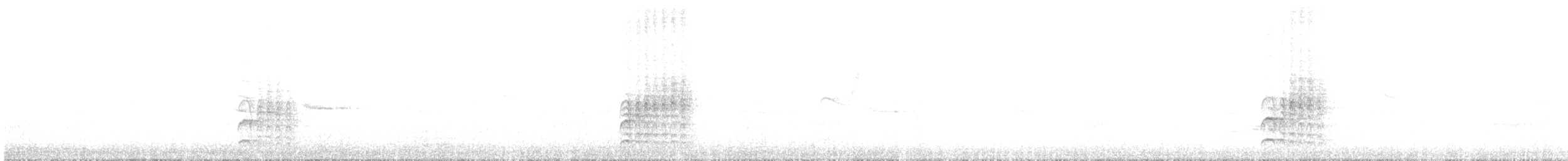 Zorzalito de Swainson (grupo ustulatus) - ML576982111