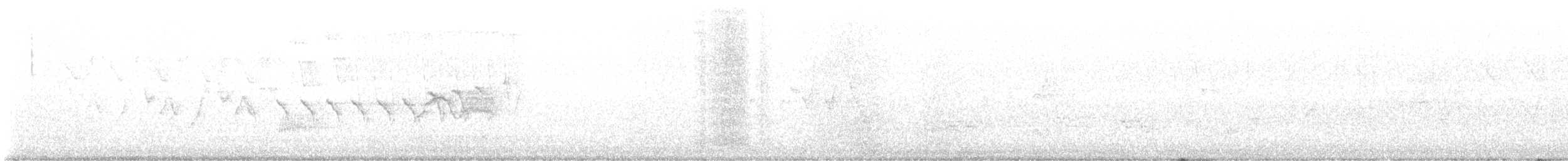lesňáček žlutoskvrnný (ssp. coronata) - ML576988581