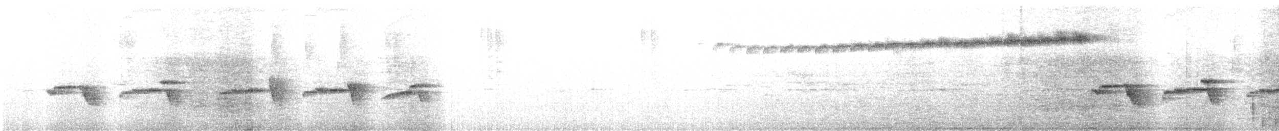 Широкохвістка далекосхідна - ML577048241