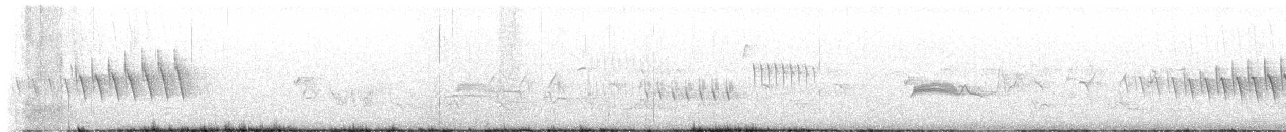 Grace's Warbler - ML577075001