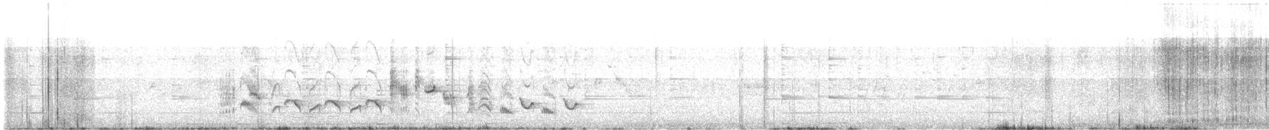 Western Orphean Warbler - ML577082961