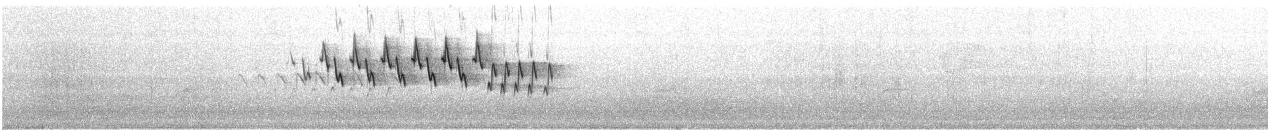 Nashville Warbler - ML577105361