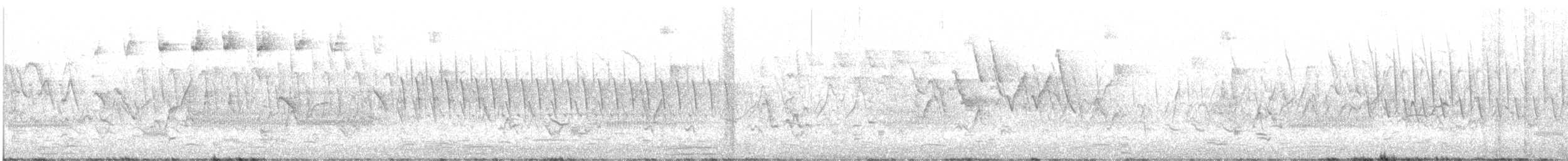 Blackpoll Warbler - ML577115561