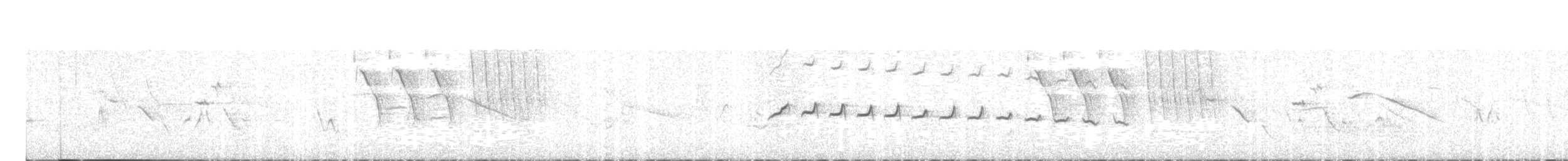 Ocellated Quail - ML577129771