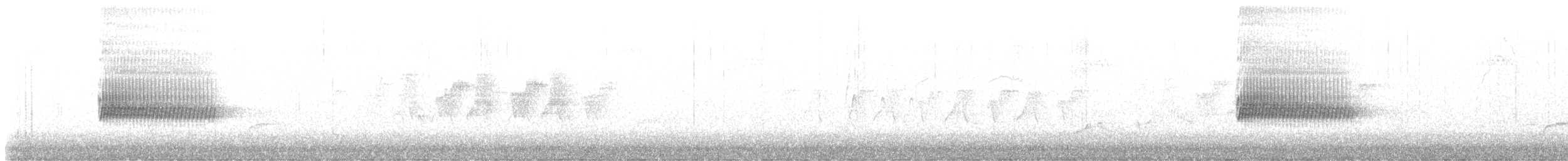 Тауї плямистий - ML577156031