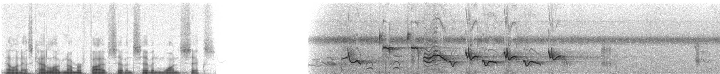 Lasurspottdrossel - ML57716